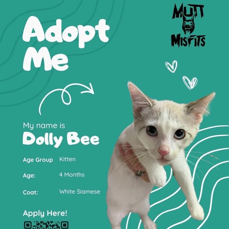 Dolly Bee thumbnail 2