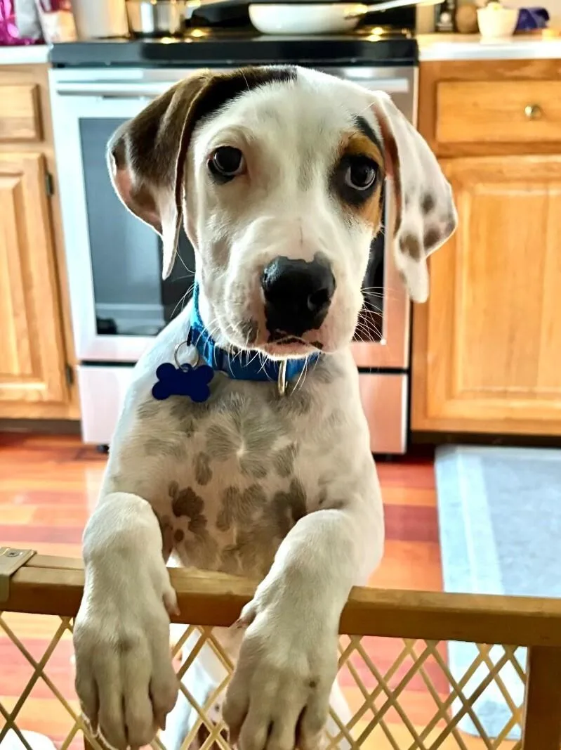 Tatum