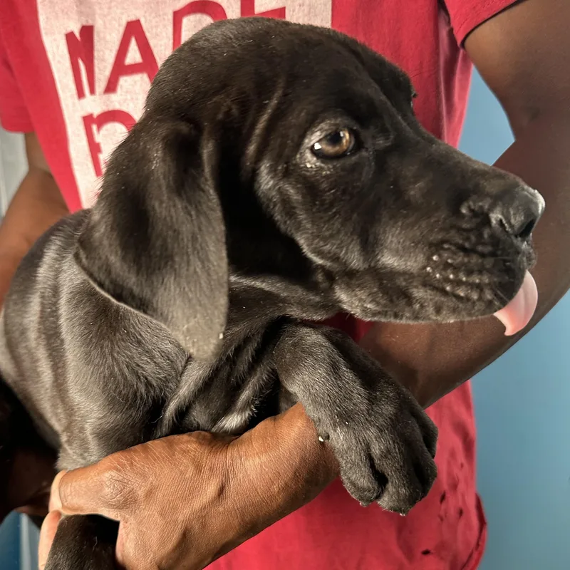 Finn  Local April thumbnail 5