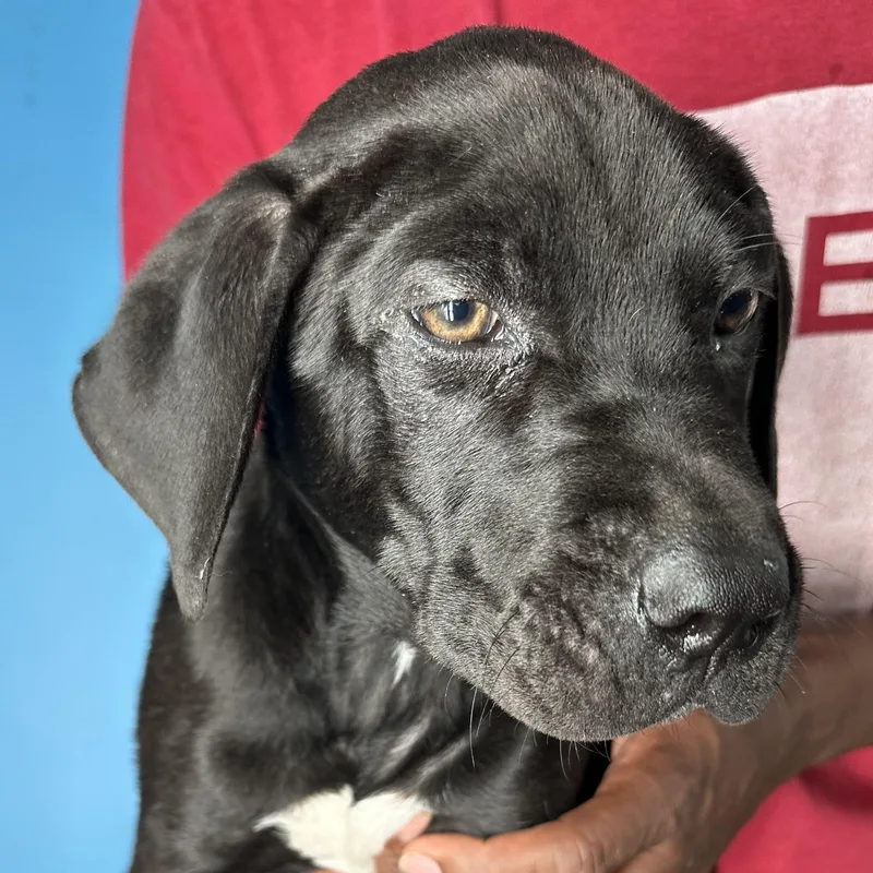 Finn  Local April thumbnail 6