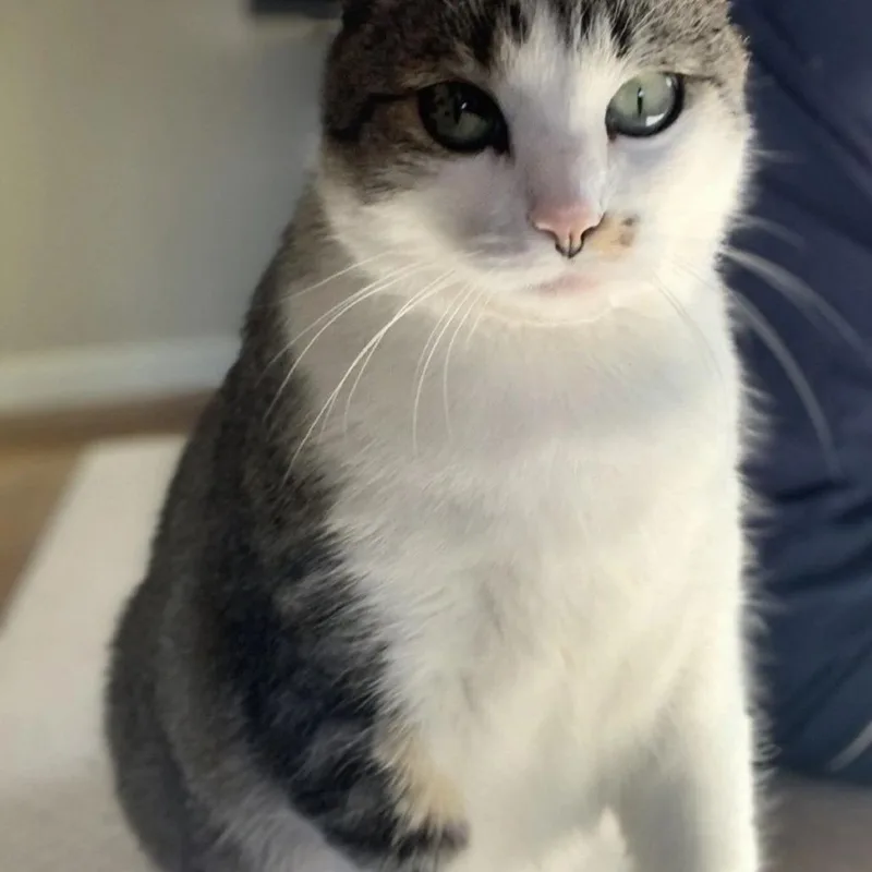 Charlie