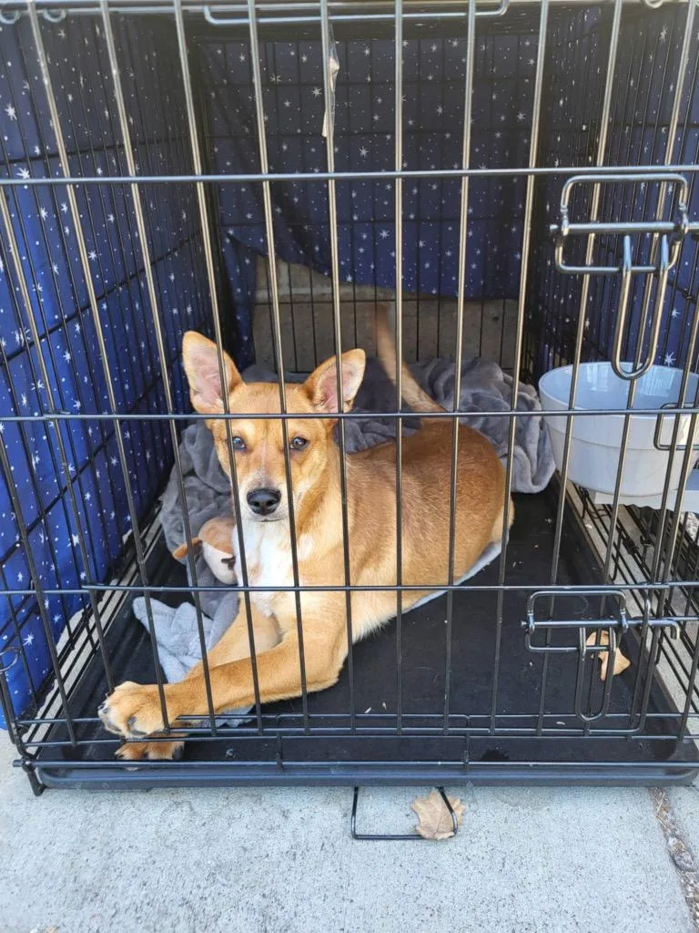 Jubal Pomp thumbnail 2