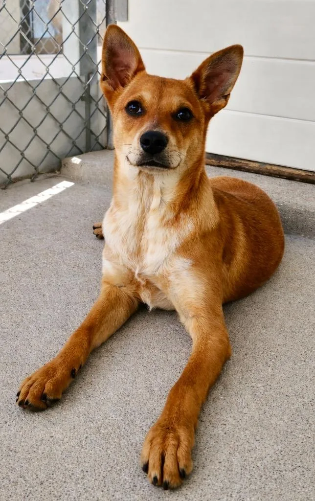 Jubal Pomp thumbnail 3