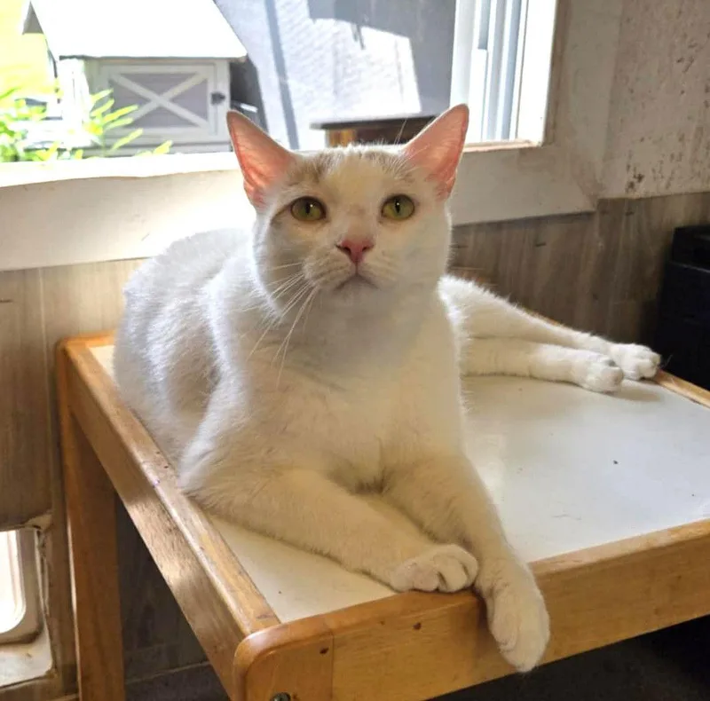 Kallie S. thumbnail 3