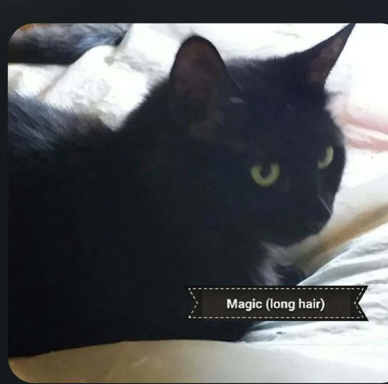 Magic