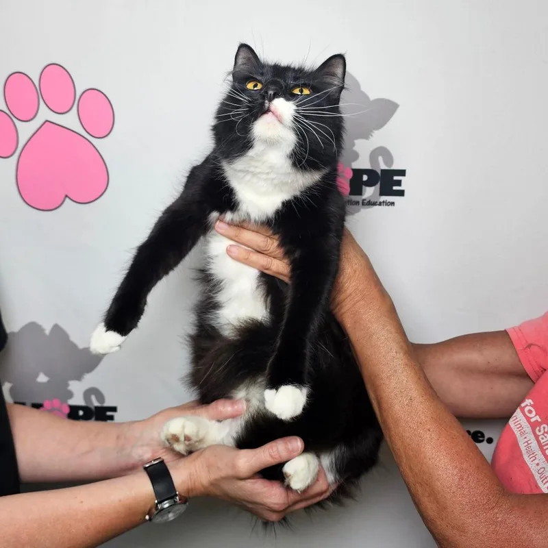 Snow White thumbnail 2