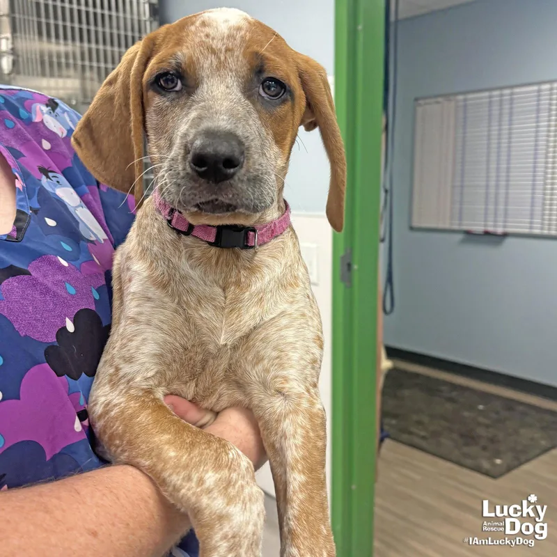 Miss Sophia thumbnail 2