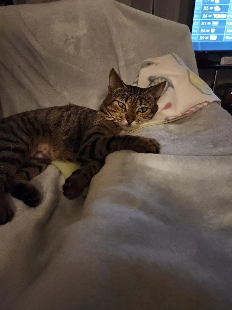 Princess Nani thumbnail 3