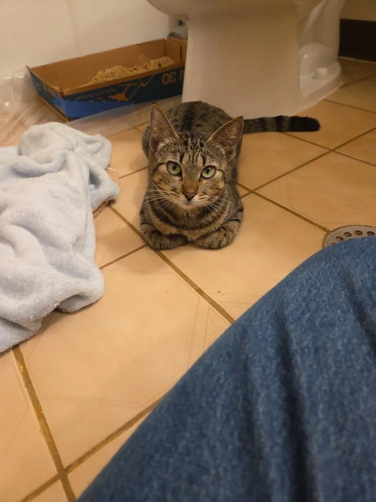 Princess Nani thumbnail 5