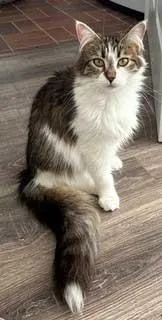 Smudge