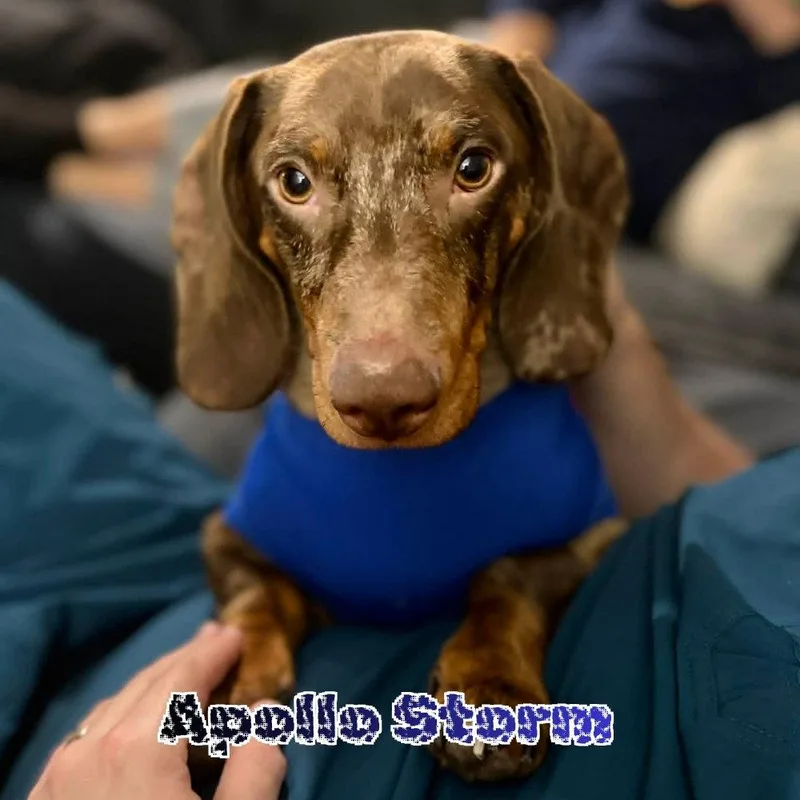 Apollo Storm
