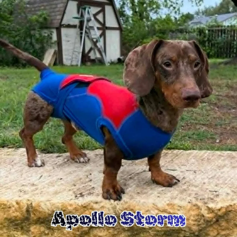 Apollo Storm thumbnail 2