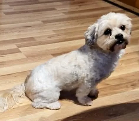 Lance A Lot thumbnail 5