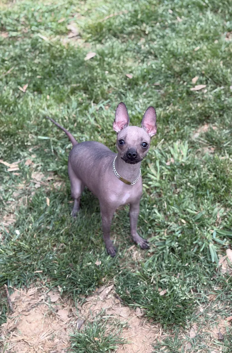 Valentina thumbnail 2