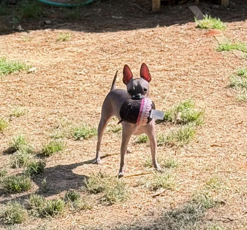 Valentina thumbnail 3