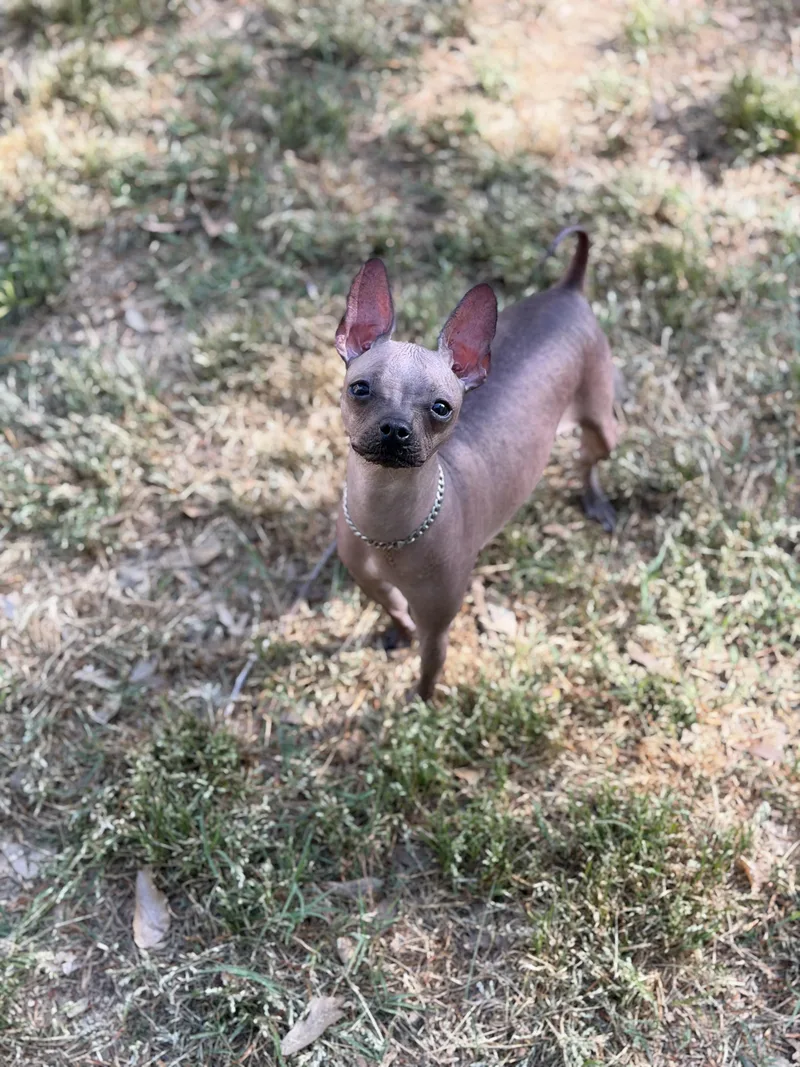 Valentina thumbnail 4