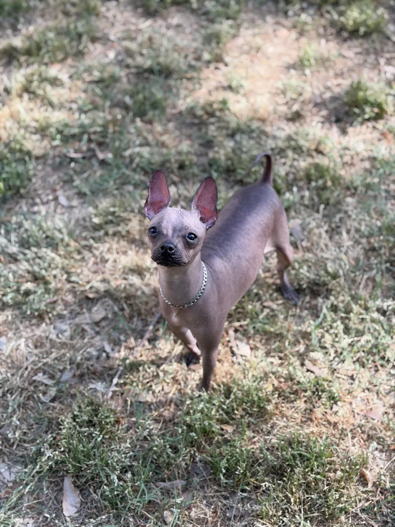 Valentina thumbnail 5