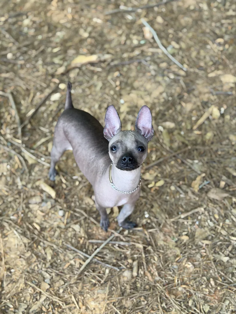 Valentina thumbnail 6