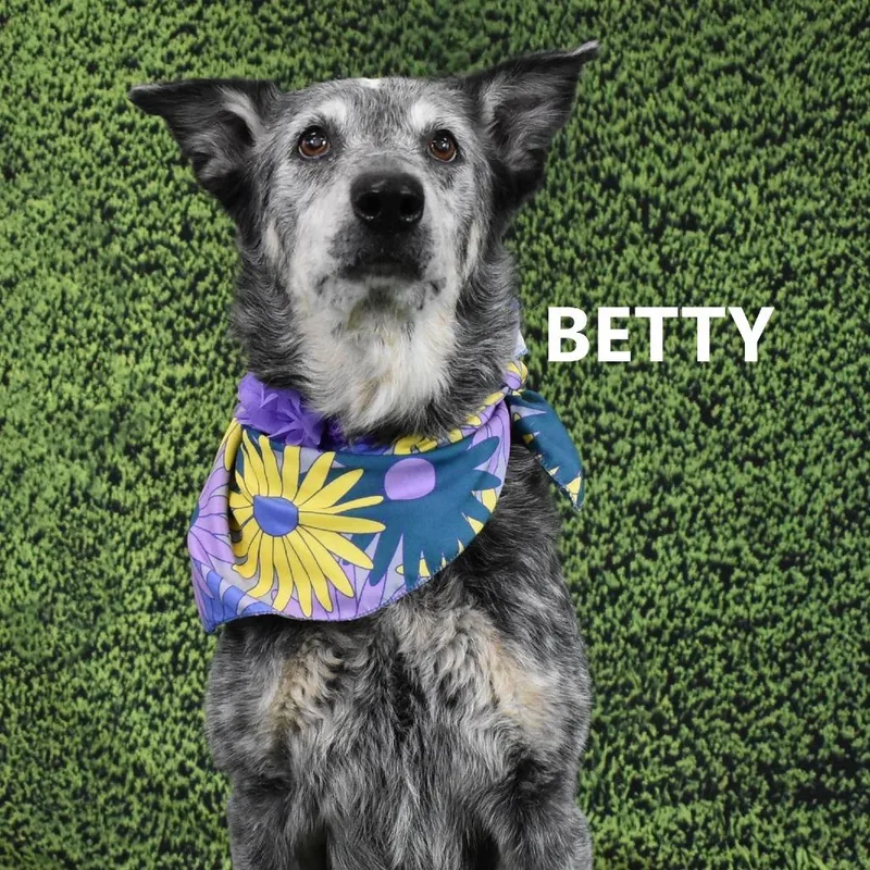 Betty