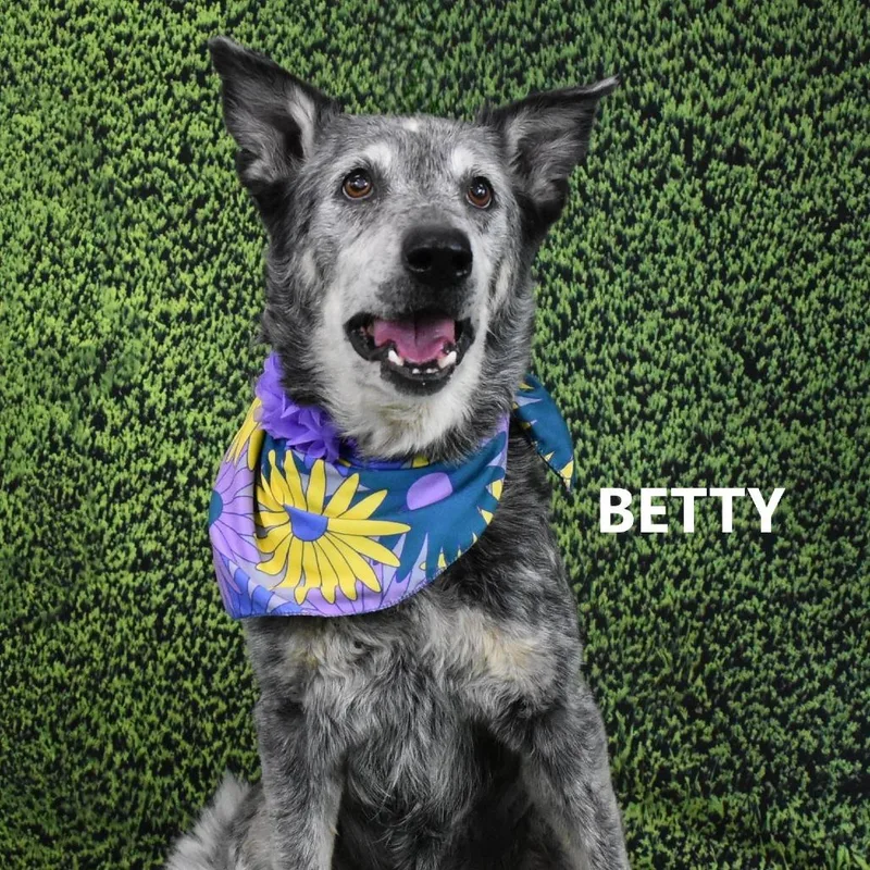 Betty thumbnail 2