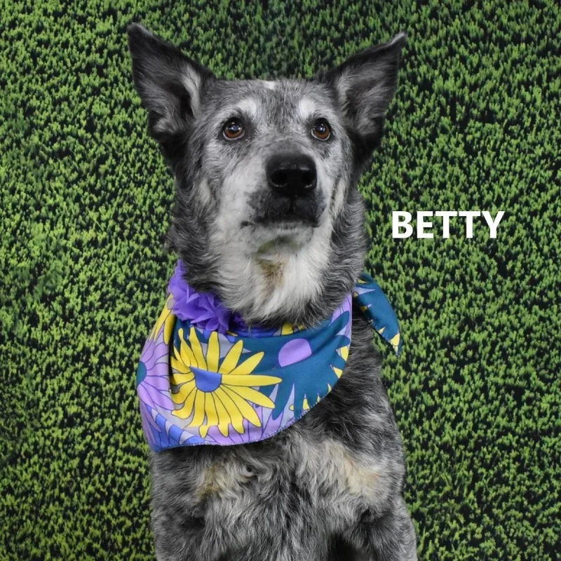 Betty thumbnail 3