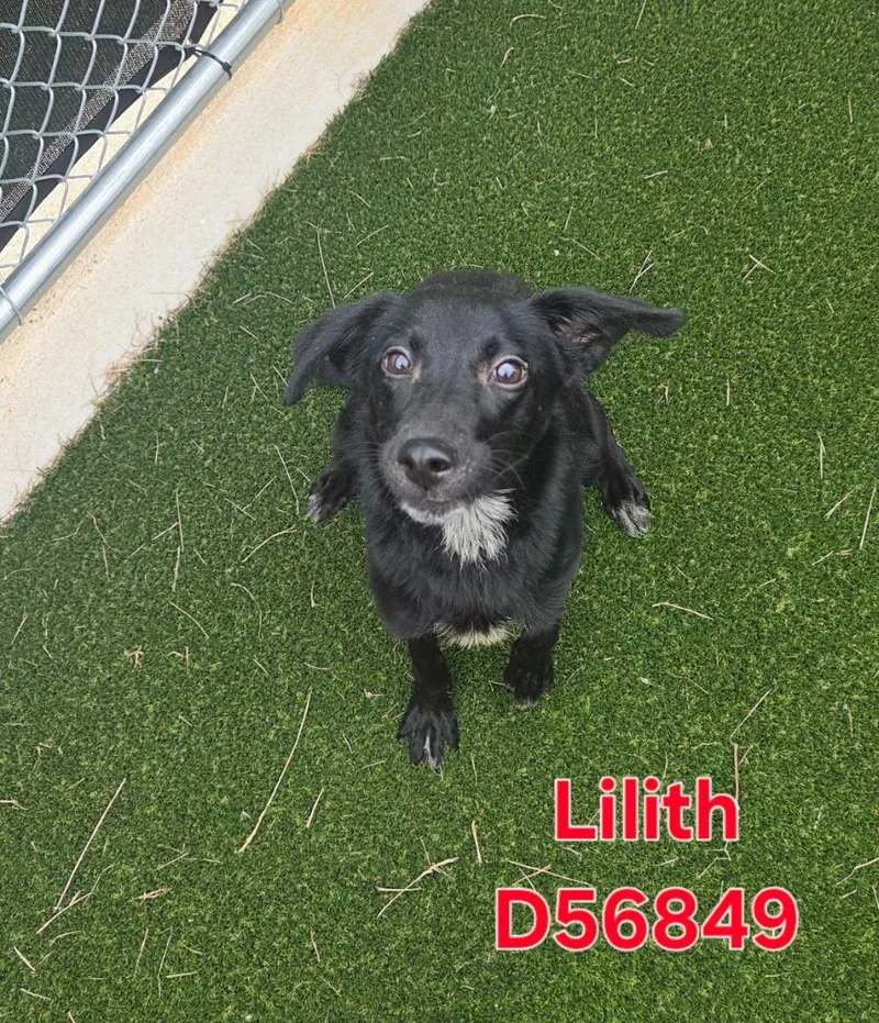 Lilith