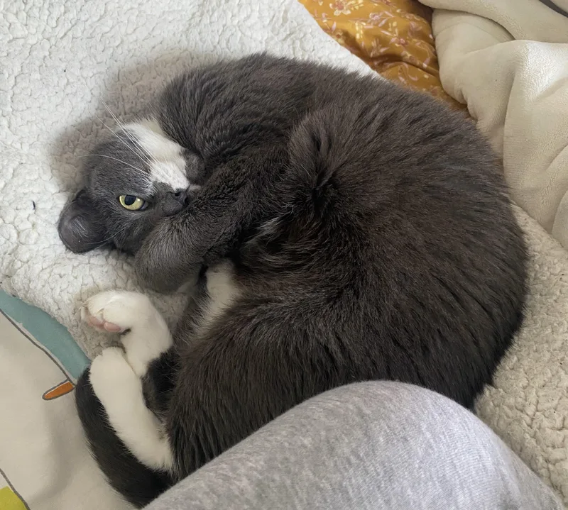 Sharice  Pretty Little thumbnail 2