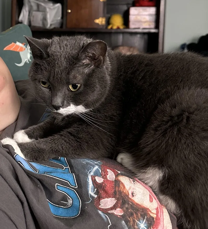 Sharice  Pretty Little thumbnail 3