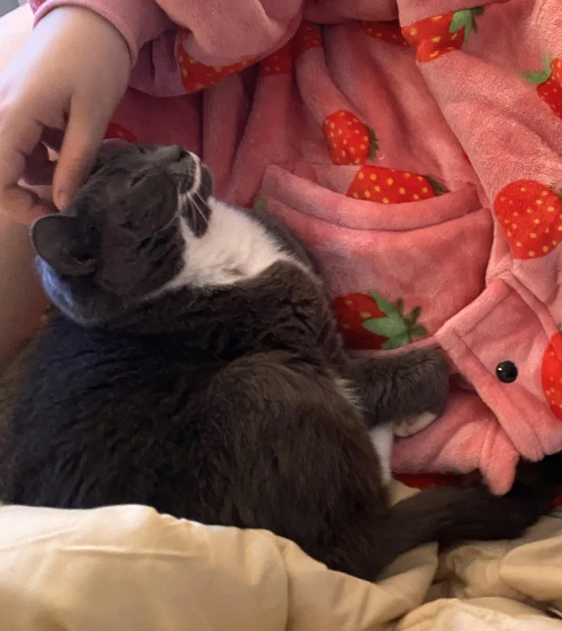 Sharice  Pretty Little thumbnail 5