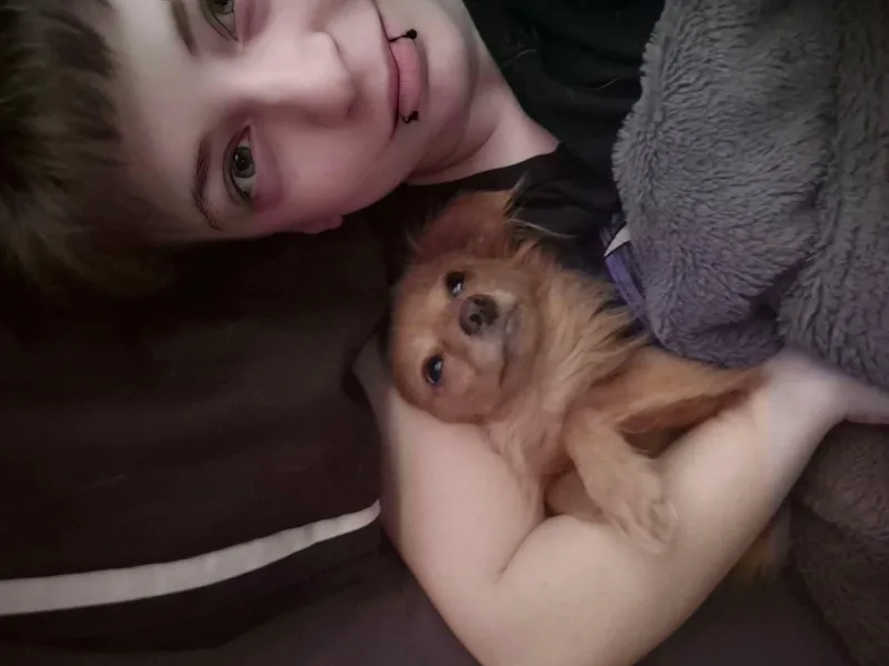 Rodney thumbnail 2