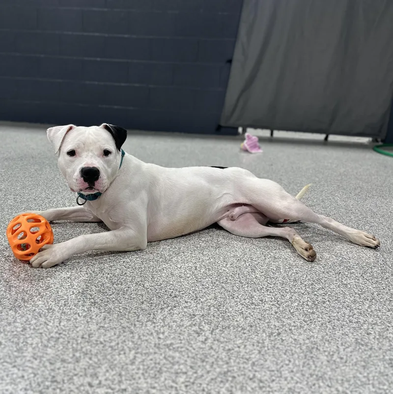 Bob Marley thumbnail 2