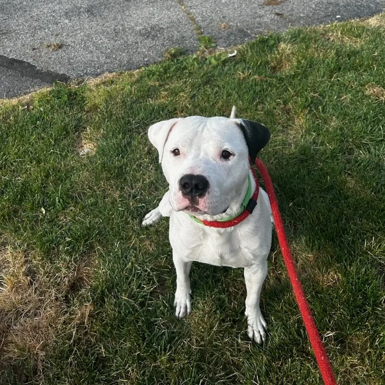 Bob Marley thumbnail 3