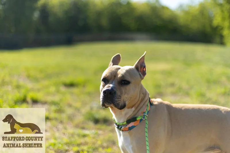 Rose Please Read thumbnail 2