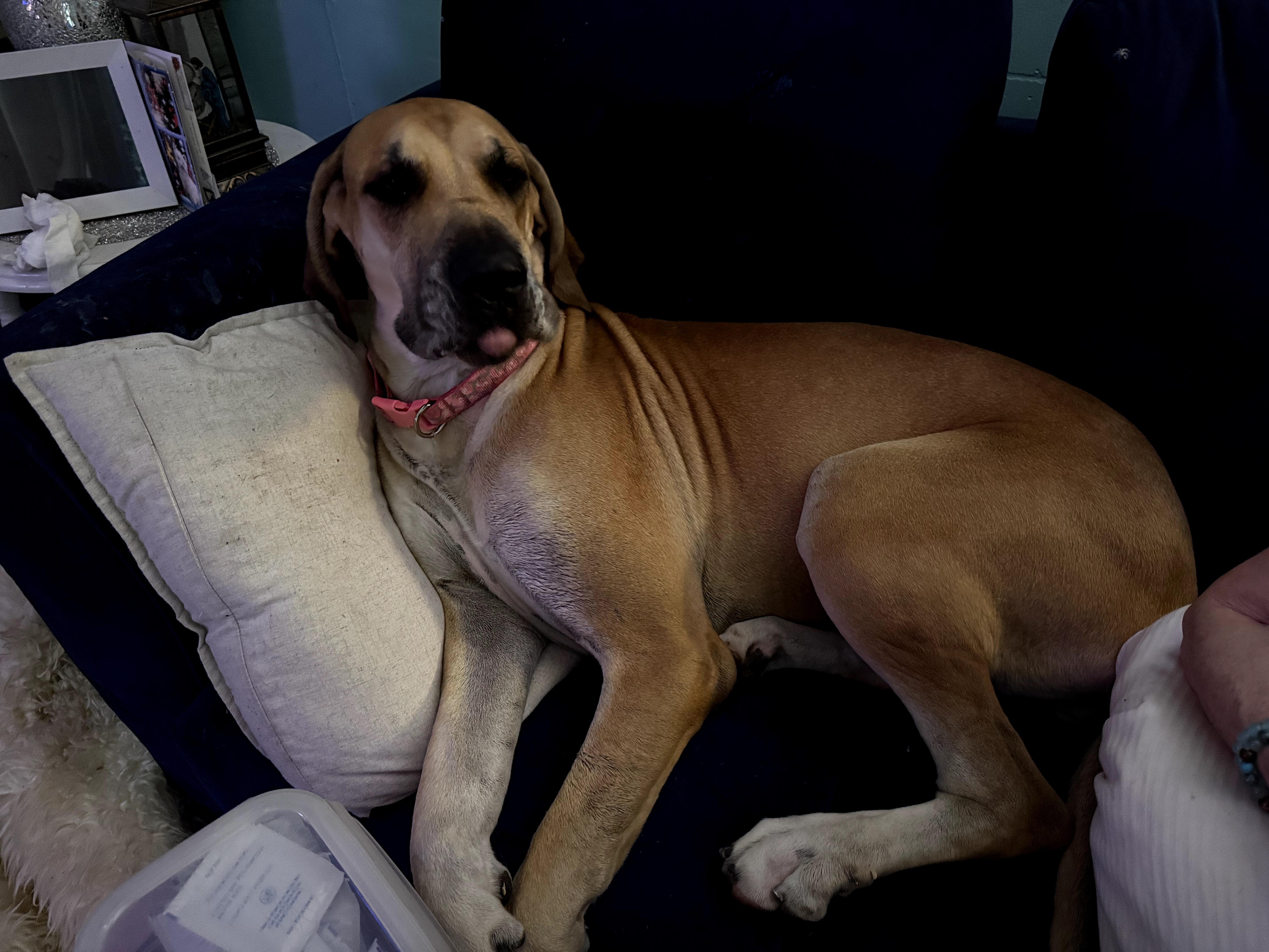 Maggie thumbnail 3