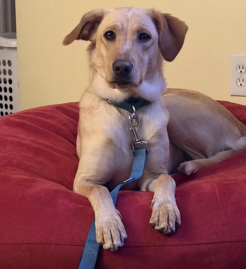 Felicity thumbnail 2