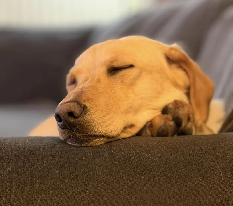 Felicity thumbnail 3