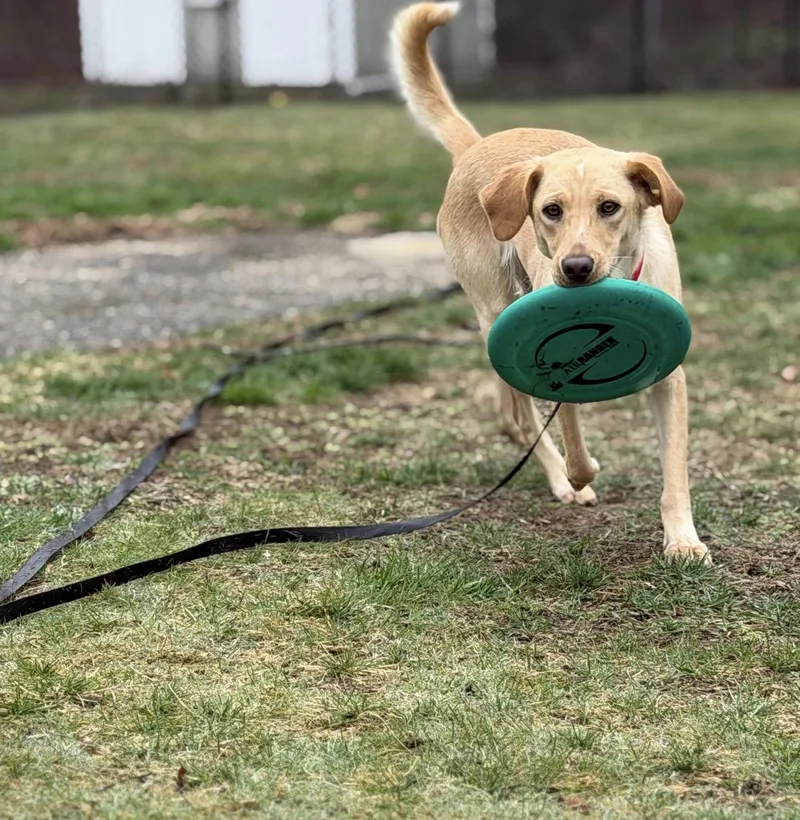 Felicity thumbnail 4