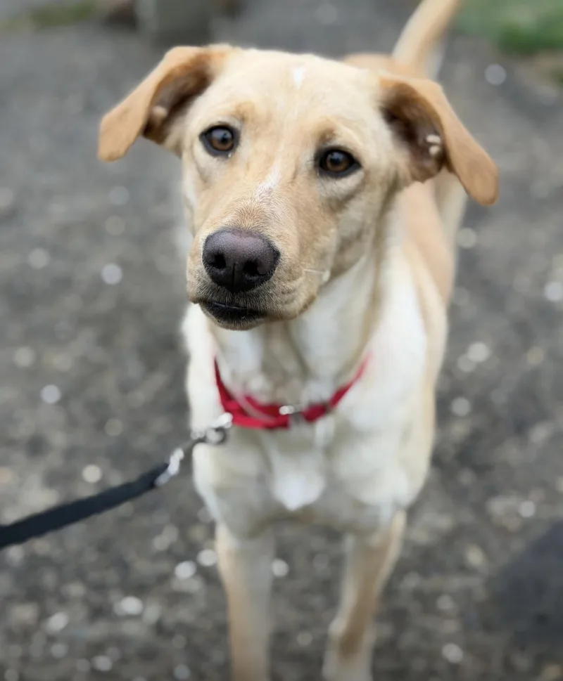 Felicity thumbnail 5