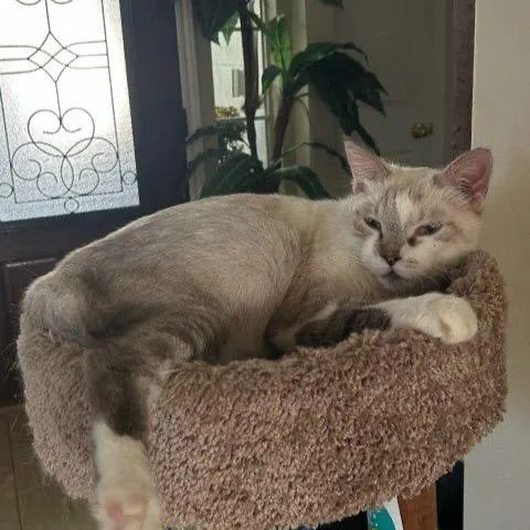 Mr. Peabody thumbnail 4