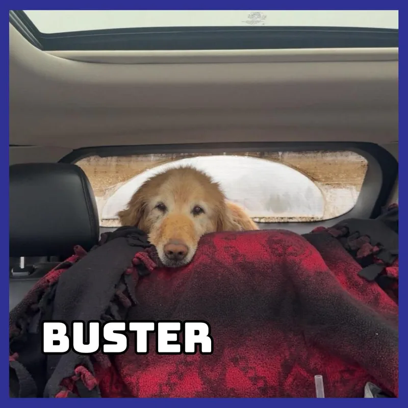 Buster thumbnail 2
