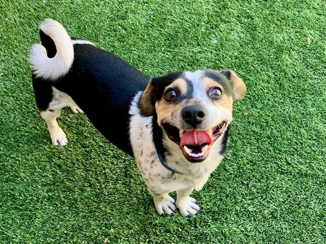 Urgent! Save Me Please!