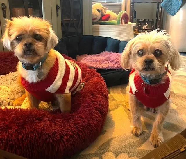 Newton And Niblick thumbnail 2