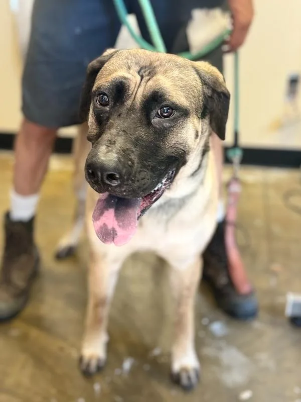 Loraine D thumbnail 2