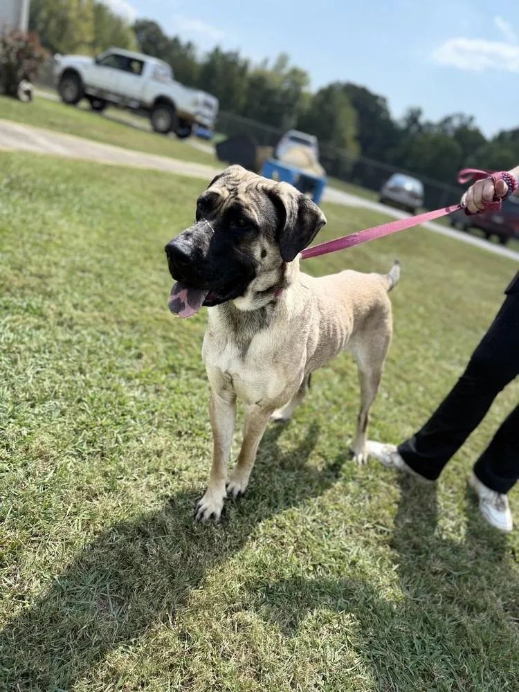 Loraine D thumbnail 4