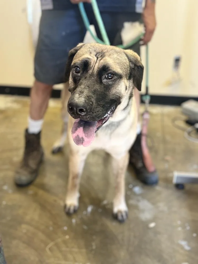 Loraine D thumbnail 6