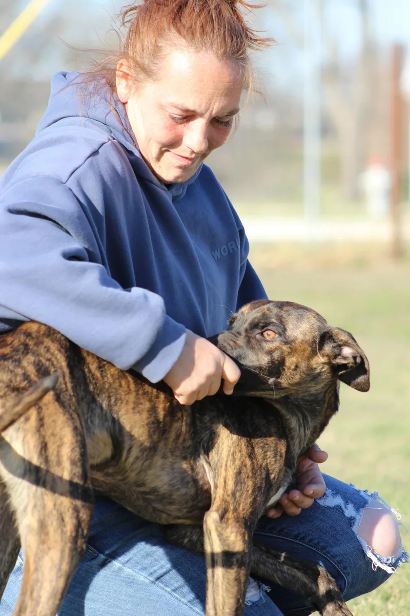 Clarence thumbnail 5