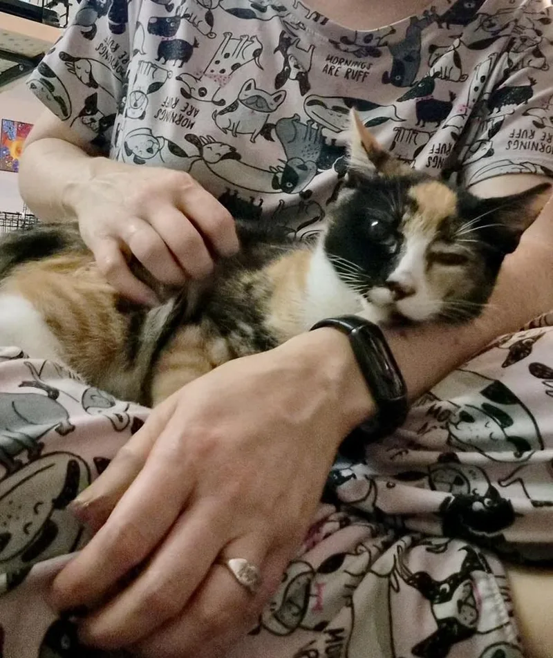 Nelly thumbnail 3