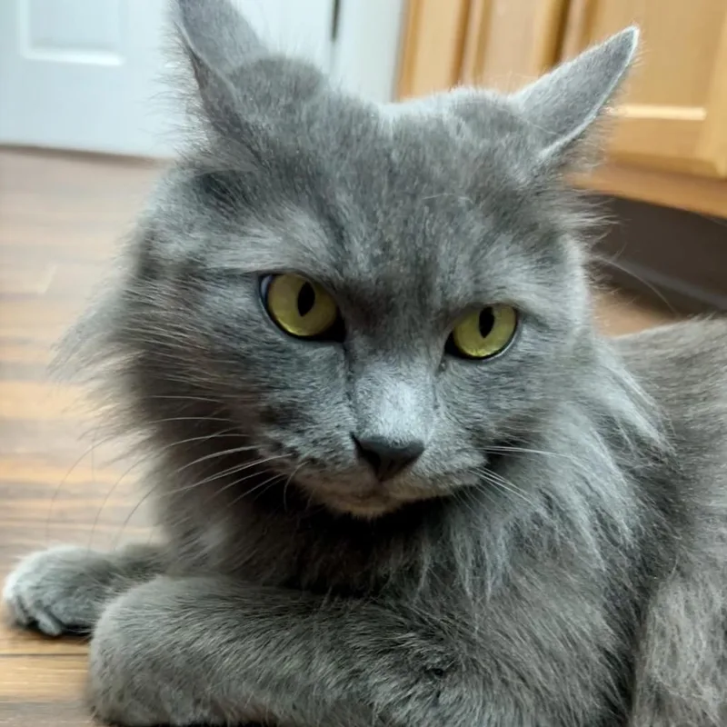 Snack Wrap thumbnail 2