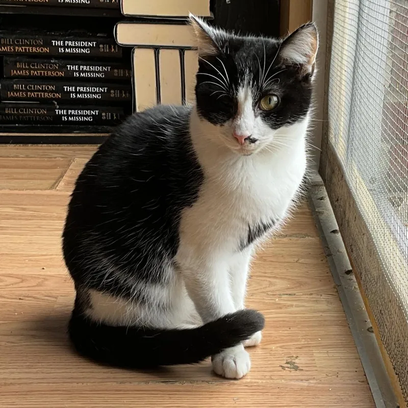 Elliot Bay thumbnail 2