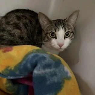 Agnes at Petsmart